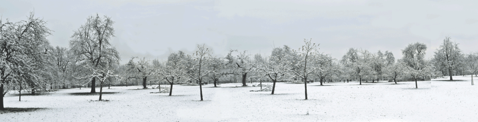 Schwaebischer Albverein | Ortsgruppe Ofterdingen
